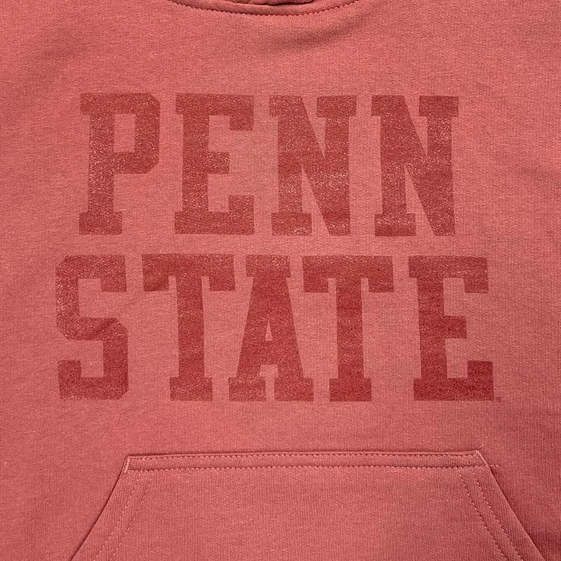 Youth Mauvelous Pink Penn State Hoodie